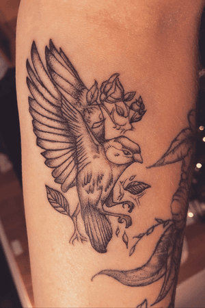 Tattooed my arm, cute sparrow