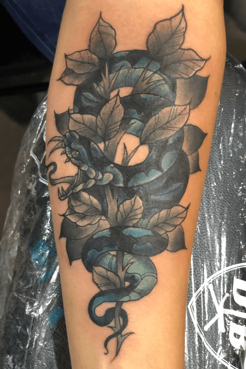 Tattoo uploaded by Bailey Goodwin • Snake I did at tbe Milwaukee