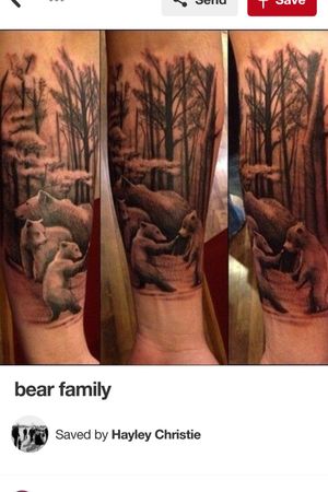Papa bear with his cubs 