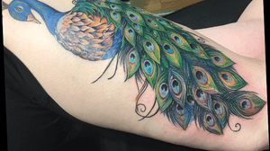 Peacock on my outer left thigh