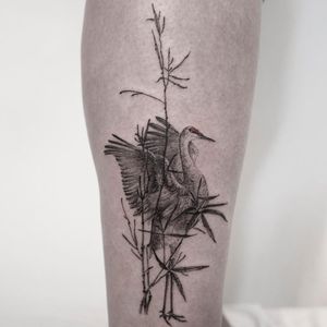 Tattoo by Hongdam #Hongdam #blackandgreytattoos #blackandgrey #illustrative #crane #bird #nature #animal #plant #leaves #bamboo