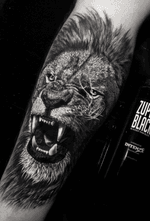 feito hoje, em 6h de trampo #liontattoo #lion #animal #blackandgreytattoo #blackandgrey #tattoo #ink #sullenclothing #intenzepride