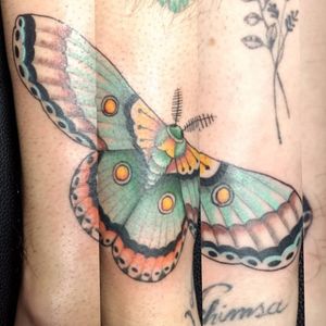 Moth#mothtattoo #moth #insect #colortattoo 