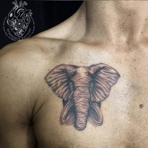 Elephant 🐘#elephant #tattoos #Reminisce #Reminiscetattoo #bangkoktattoo #bangkok #thaitattoo #Thailand