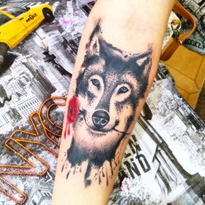Tattoo lobo pontilhismo e aquarela WhatsApp 992406123