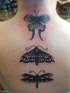 Butterfly, Death's Head Moth, Dragonfly by Tosha Carnes @ Remember Me Tattoos in Manor, Tx