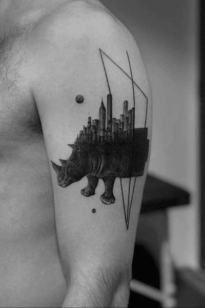 #hippopotamus #linework #geometric #triangle #realistic #blackandgrey #world #alianilercel