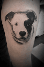 #sophieanaistattoo #sophieanaistattoos #blackandgrey #realism #dog #portrait 