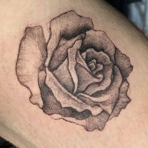 Rose tattoo done with #cheyennehawkpen and #silverbackink 