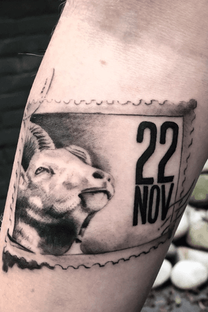 Done by Bram Koenen - Resident Artist @swallowink @iqtattoogroup tat #tatt #tattoo #tattoos #tattooart #tattooartist #blackandgrey #blackandgreytattoo #ink #inkee #inkedup #inklife #realistic #realistictattoo #goat #goattattoo #stamp #stamptattoo #inklovers #art #bergenopzoom #netherlands
