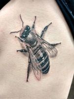 Find Richard Hart on FB. #bee #nature #beetattoo #naturetattoo #greywash #blackandgreytattoo #realismtattoo #realism #insects #insecttattoo 