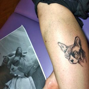 #tatuajes #tatuado #tatuando #tatuandoenpiel #tatuadoresmadrid #enpiel #tatuandoenpiel #gato #gatoegipcio #amorgatuno #tattos #tatto #cat #cattattoo 