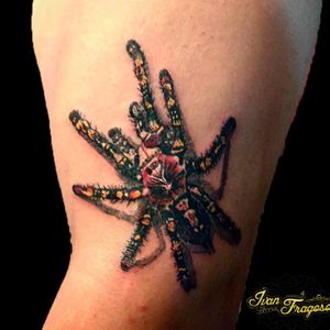 🕷🕸#tattoo #tatuagem #spider #realismo #realistic #realism 