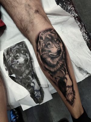 Realistic wolf tattoo. 