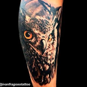 🦉 #tattoo #tatuagem #corujas #corujatattoo #coruja #owltattoo #owl #realismo #realistic #realism 