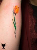 #floral #colored #realism #tulip