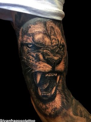The King 🦁 #tattoo #tatuagem #lion #liontattoo #realismo #realistic #realism 