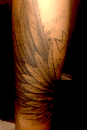 FreeHand Wing