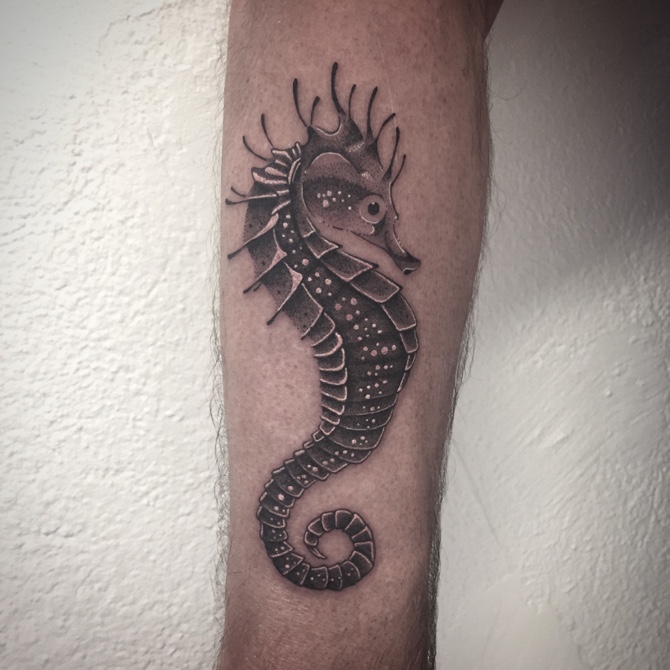 Seahorse Tattoo Images  Designs