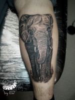Elephant By Ela #tattoobanana #tattoo #inked #tattooed #tattooink #inkedup #tattoos #tatuajes #tattoolife #tattooartist #thurles #tatuaze #worldfamousink #eztattooing #elephanttattoo #tattooshop #inkbooster