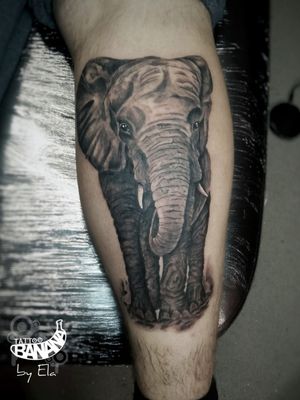 ElephantBy Ela#tattoobanana #tattoo #inked  #tattooed #tattooink #inkedup #tattoos #tatuajes #tattoolife #tattooartist #thurles #tatuaze #worldfamousink #eztattooing #elephanttattoo  #tattooshop #inkbooster