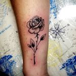 Small rose 