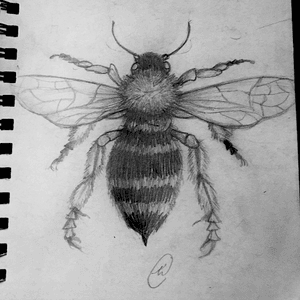 Working on a bee design. I want to clean it up far more still. #tattoodesign #drawing #sketch #bee #insect #insecttattoo #pencil #blackandgrey 