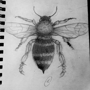 Working on a bee design. I want to clean it up far more still. #tattoodesign #drawing #sketch #bee #insect #insecttattoo #pencil #blackandgrey 