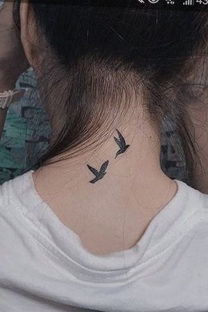 #birds #tiny #neck #black