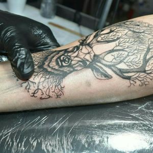 Ciervo realizado para Maxi.. #tattooart #tattooartist #Tattoodo #tattoodesign #Argentinaink 