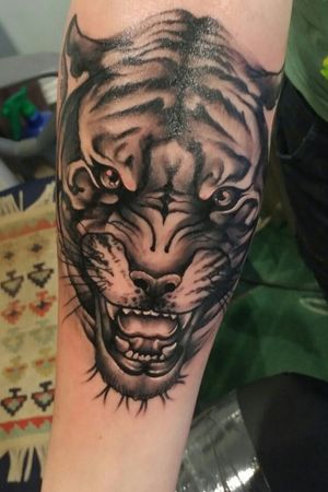 Tiger 🐅