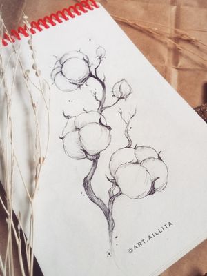 #sketch #cotton #cottonflowers #flowerssketch #flowerstattoo #blackart #blacktattoo 
