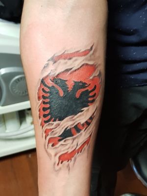 Albanian 