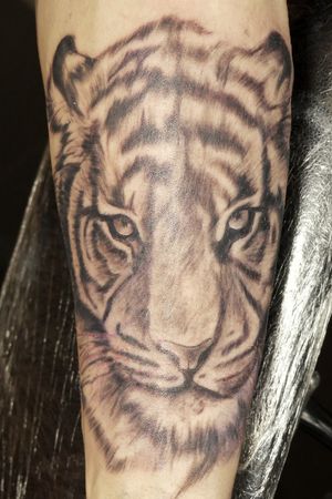 Tiger on forearm done by Arthur frost