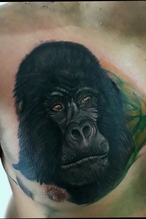 #gorilltattoo  #GorillaTattoo  #gorillaz  #tattooartist #colombiantattooers  #CoverUpTattoos  #coverup