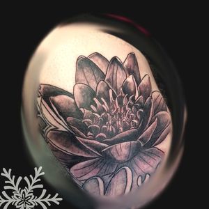 Water Lily #waterlily #lily #blackandgrey #thicklines #thigh