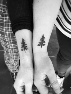 Fern tree couple 