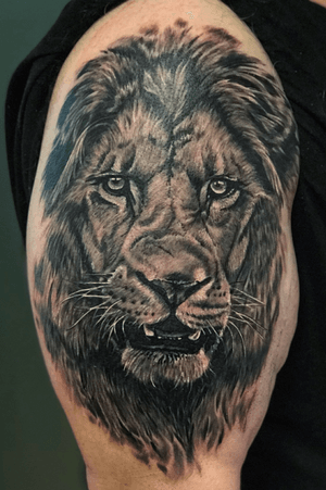 #realistic #realism #lion #liontattoo #blackandgrey #copenhagen 