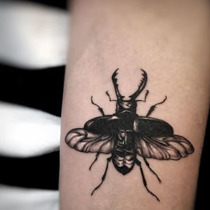 my newest tattooa stag beetledone by donovan@deez_tat204 on IG