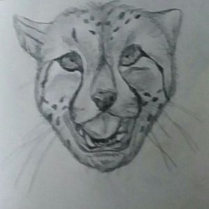 Cheetah done by Hunter Leliefeld 