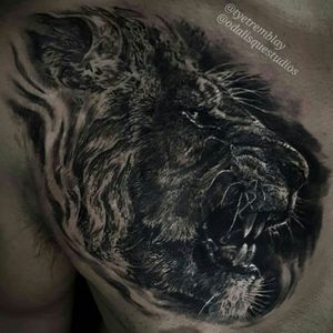 #lion #wildlife #blackandgrey #realism