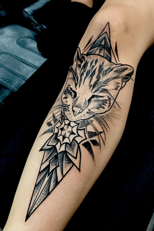 FRANK the cat tattooed in dotwork style with geometric adornments. 