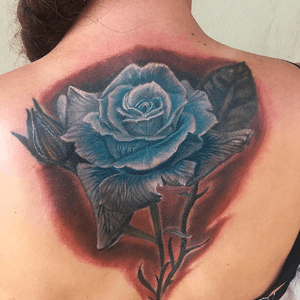 Longstem blue rose for Michelle and her mother. 