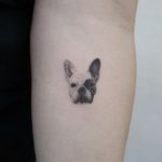 Tattoo by Youyeon #Youyeon #blackandgreyrealismtattoos #blackandgreyrealism #blackandgrey #realism #hyperrealism #realistic #dog #animal #petportrait #frenchpug #pug #cute #little #tiny #small