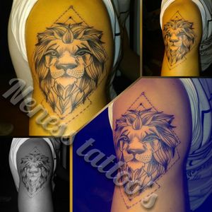 Lion King 🦁🦁🦁
