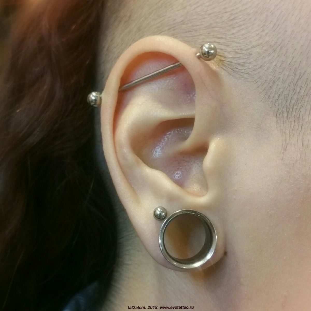 Tattoo uploaded by Вадим • Туннель, индастриал и классика пирсинга уха ...