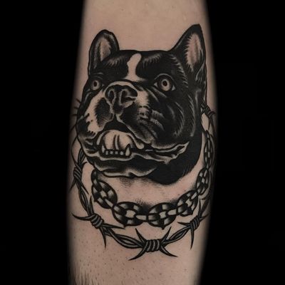 Tattoo by Austin Maples #AustinMaples #dogtattoos #dogtattoo #dog #animal #petportrait #mansbestfriend #pitbull #chain #barbedwire #blackandgrey #traditional