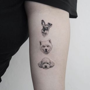Татуировка от Youyeon #Youyeon #dogtattoos #dogtattoo #собака #животное #портрет питомца #лучший друг человека #реалистичный #реализм #Гиперреализм #черный и серый