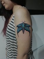 Blue moth for Carol, thanks ©