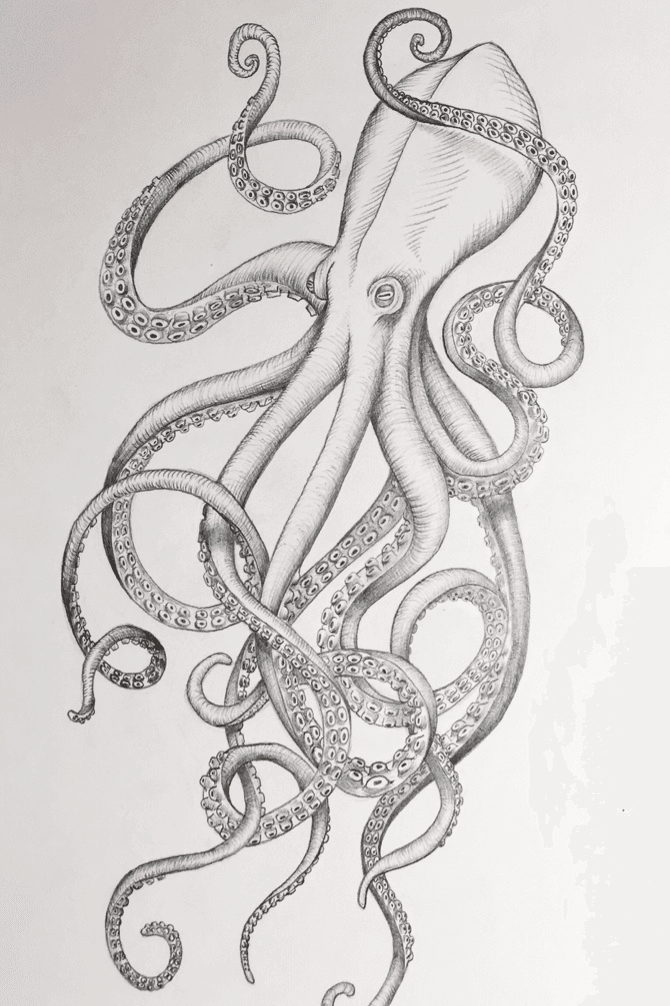 Octopus Drawing Images - Free Download on Freepik